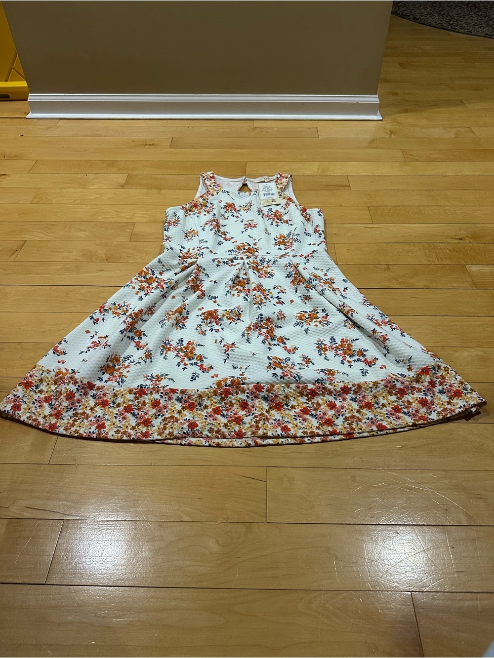 Rewind White Floral Border Fit-and-Flare Midi Dress